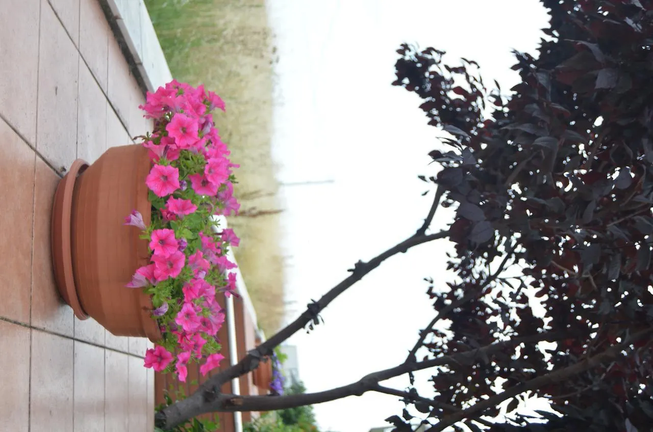 Halkidiki Aggelos Apartments Φλογητά